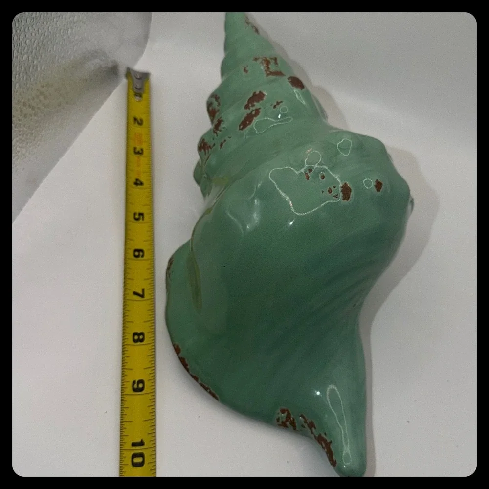 Unbranded conch shell